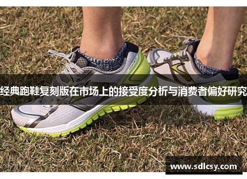 经典跑鞋复刻版在市场上的接受度分析与消费者偏好研究