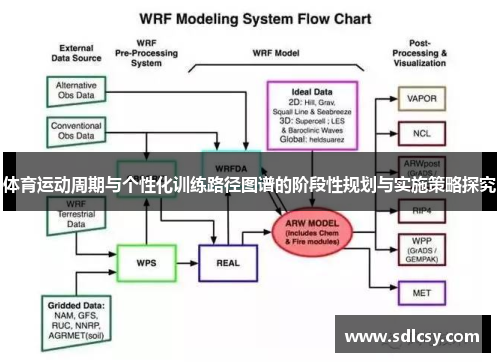 体育运动周期与个性化训练路径图谱的阶段性规划与实施策略探究