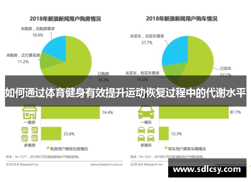 如何通过体育健身有效提升运动恢复过程中的代谢水平