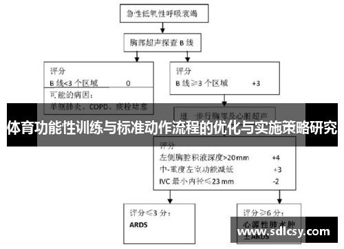 体育功能性训练与标准动作流程的优化与实施策略研究