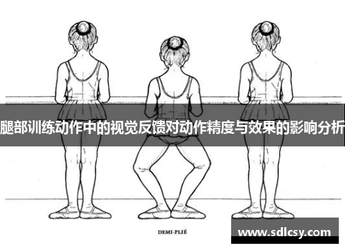 腿部训练动作中的视觉反馈对动作精度与效果的影响分析